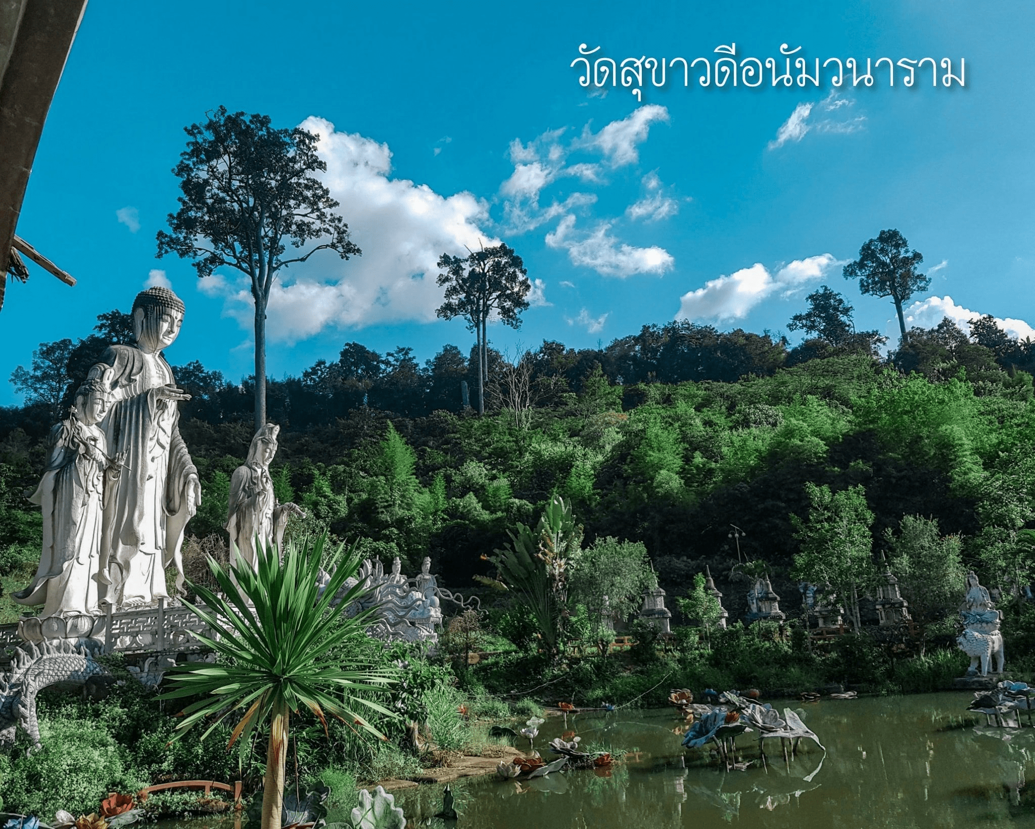 Read more about the article วัดสุขาวดีอนัมวนาราม